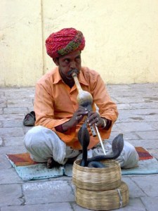 snake charmer