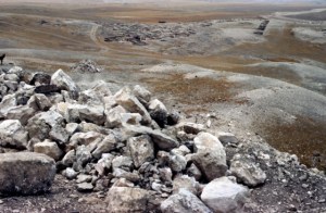 Wilderness through which the Israelites crossed on their way to the Promised Land.