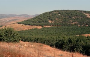 David hid in one of the many caves near Adullam, a city 13 miles southwest of Bethlehem (1 Samuel 22: 1-12). David was in this area when three of his mighty men risked their lives to get him a drink of water from Bethlehem (2 Samuel 23: 13-17).